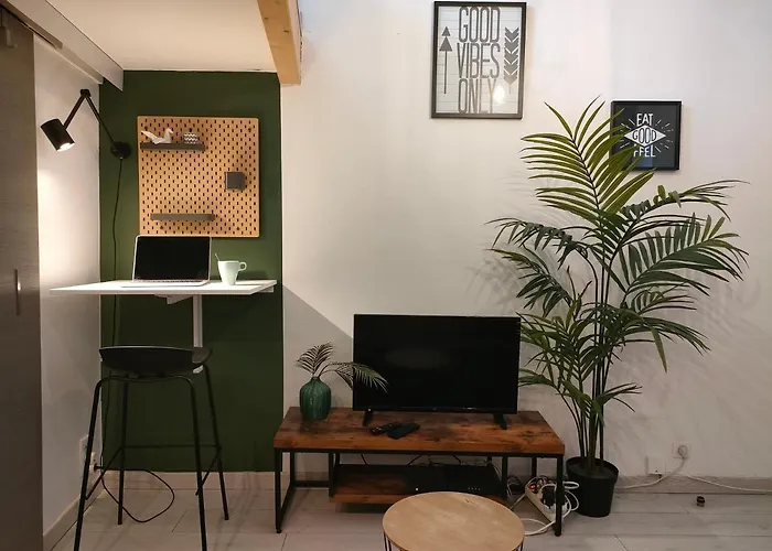 L\'Urbain Vitry - Studio Avec Mezzanine En Hyper Centre